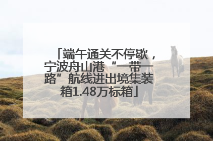 端午通关不停歇，宁波舟山港“一带一路”航线进出境集装箱1.48万标箱