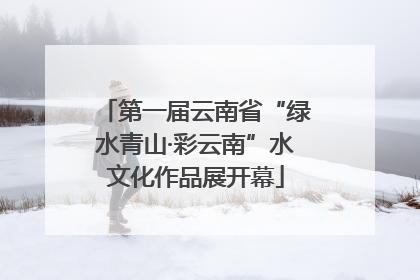 第一届云南省“绿水青山·彩云南”水文化作品展开幕