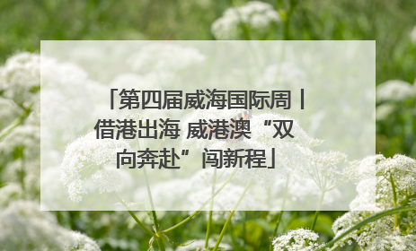 第四届威海国际周丨借港出海 威港澳“双向奔赴”闯新程