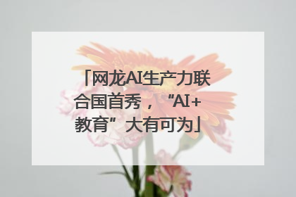 网龙AI生产力联合国首秀，“AI+教育”大有可为