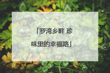 罗湾乡畔 珍味里的幸福路