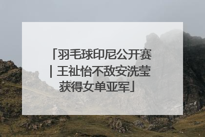 羽毛球印尼公开赛｜王祉怡不敌安洗莹 获得女单亚军