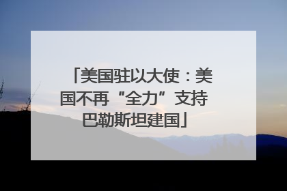 美国驻以大使：美国不再“全力”支持巴勒斯坦建国