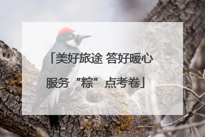 美好旅途 答好暖心服务“粽”点考卷
