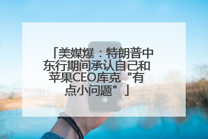 美媒爆：特朗普中东行期间承认自己和苹果CEO库克“有点小问题”