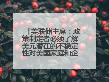 美联储主席：政策制定者必须了解美元潜在的不稳定性对美国家庭和企业的影响