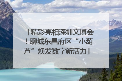 精彩亮相深圳文博会！聊城东昌府区“小葫芦”焕发数字新活力
