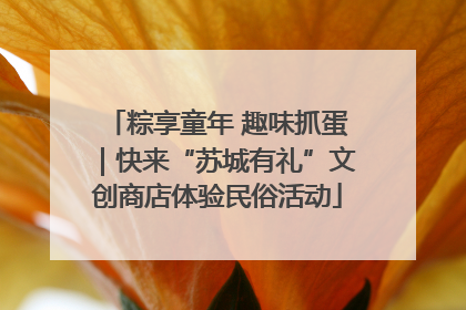 粽享童年 趣味抓蛋｜快来“苏城有礼”文创商店体验民俗活动