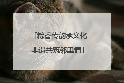 粽香传韵承文化 非遗共筑邻里情