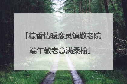 粽香情暖豫灵镇敬老院 端午敬老意满桑榆
