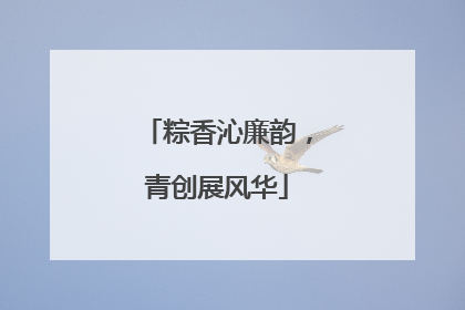 粽香沁廉韵，青创展风华