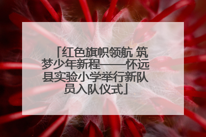 红色旗帜领航 筑梦少年新程——怀远县实验小学举行新队员入队仪式