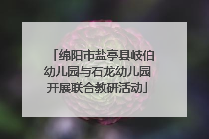 绵阳市盐亭县岐伯幼儿园与石龙幼儿园开展联合教研活动