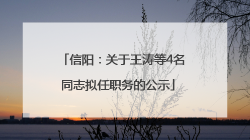 信阳：关于王涛等4名同志拟任职务的公示