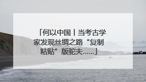何以中国丨当考古学家发现丝绸之路“复制粘贴”版驼夫……