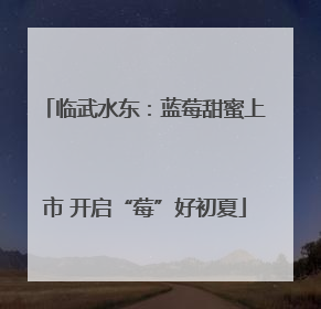 临武水东：蓝莓甜蜜上市 开启“莓”好初夏