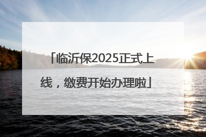 临沂保2025正式上线，缴费开始办理啦
