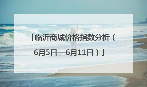 临沂商城价格指数分析（6月5日—6月11日）