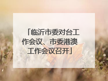 临沂市委对台工作会议、市委港澳工作会议召开