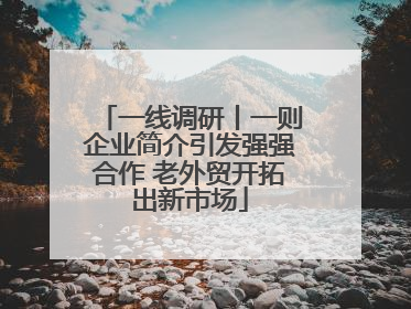 一线调研丨一则企业简介引发强强合作 老外贸开拓出新市场