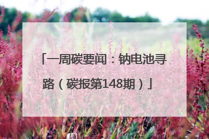 一周碳要闻：钠电池寻路（碳报第148期）