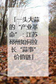 一头大蒜的“产业革命”：江苏邳州如何拉长“蒜事”价值链