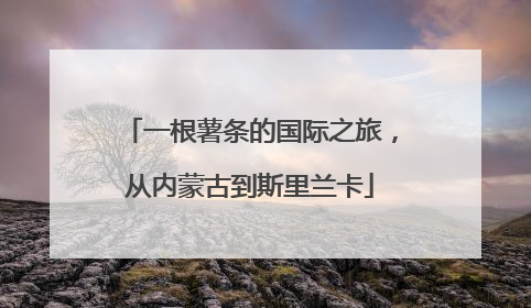 一根薯条的国际之旅，从内蒙古到斯里兰卡