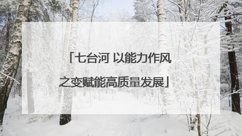 七台河 以能力作风之变赋能高质量发展