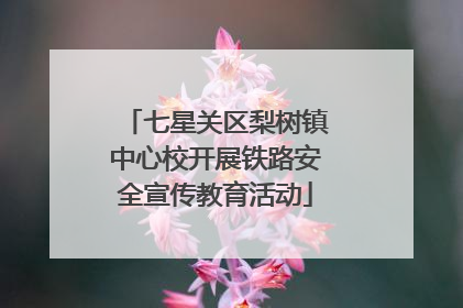 七星关区梨树镇中心校开展铁路安全宣传教育活动
