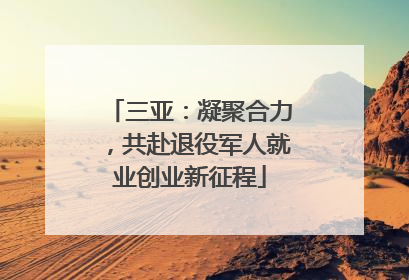 三亚：凝聚合力，共赴退役军人就业创业新征程