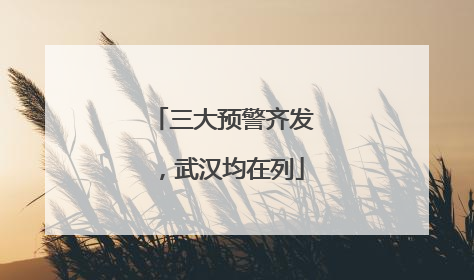 三大预警齐发，武汉均在列