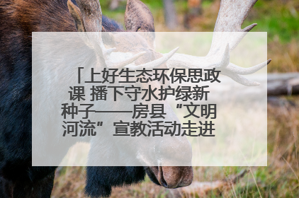 上好生态环保思政课 播下守水护绿新种子——房县“文明河流”宣教活动走进八一希望小学