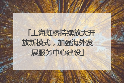 上海虹桥持续放大开放新模式，加强海外发展服务中心建设