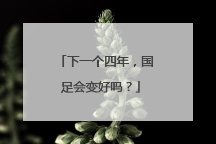 下一个四年，国足会变好吗？