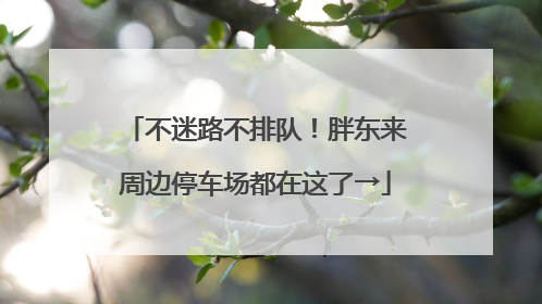 不迷路不排队！胖东来周边停车场都在这了→