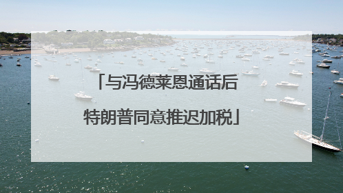 与冯德莱恩通话后 特朗普同意推迟加税