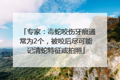 专家：毒蛇咬伤牙痕通常为2个，被咬后尽可能记清蛇特征或拍照