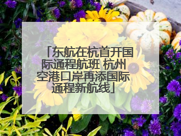 东航在杭首开国际通程航班 杭州空港口岸再添国际通程新航线