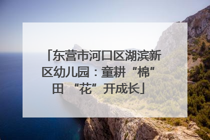 东营市河口区湖滨新区幼儿园：童耕“棉”田 “花”开成长
