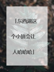 东西湖这个小镇会让人哈哈哈