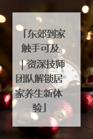 东郊到家 触手可及｜资深技师团队解锁居家养生新体验