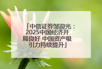 中信证券邹迎光：2025中国经济开局良好 中国资产吸引力持续提升