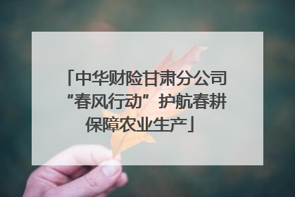 中华财险甘肃分公司“春风行动”护航春耕 保障农业生产