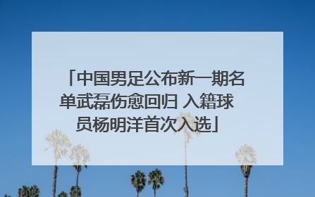 中国男足公布新一期名单武磊伤愈回归 入籍球员杨明洋首次入选
