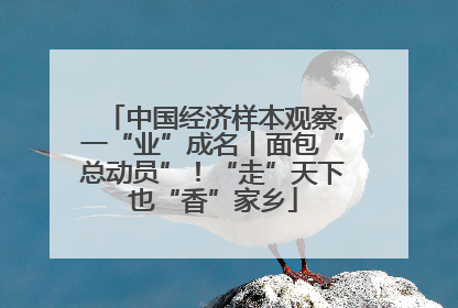 中国经济样本观察·一“业”成名丨面包“总动员”！“走”天下也“香”家乡