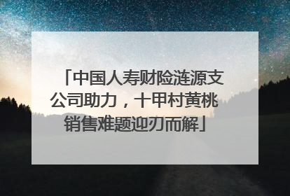 中国人寿财险涟源支公司助力，十甲村黄桃销售难题迎刃而解