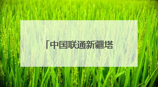 中国联通新疆塔城沙湾分公司业务外包人被约谈
