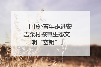 中外青年走进安吉余村探寻生态文明“密钥”