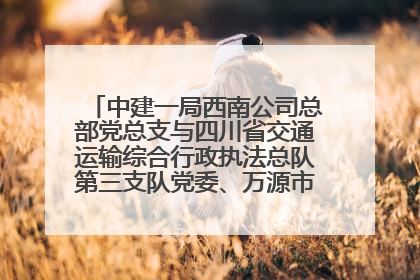 中建一局西南公司总部党总支与四川省交通运输综合行政执法总队第三支队党委、万源市草坝镇莲花院村党支部开展党建联建