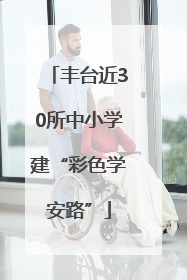 丰台近30所中小学建“彩色学安路”